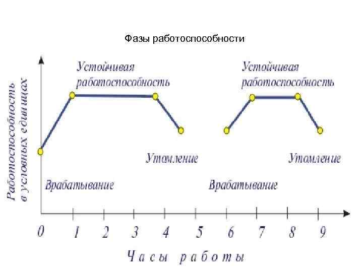 Фазы работоспособности 