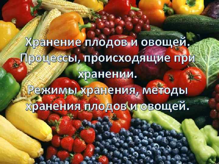 Хранение плодов и овощей. Процессы, происходящие при хранении. Режимы хранения, методы хранения плодов и
