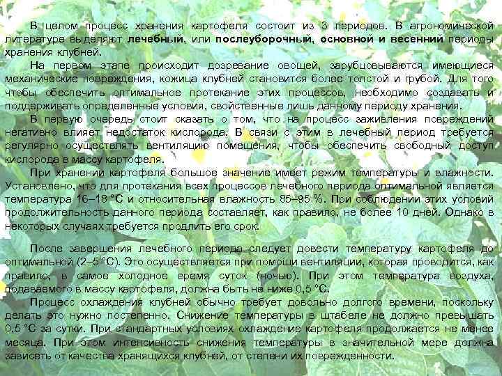 В целом процесс хранения картофеля состоит из 3 периодов. В агрономической литературе выделяют лечебный,