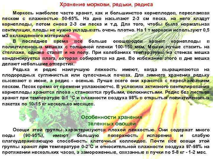 Хранение моркови, редьки, редиса Морковь наиболее часто хранят, как и большинство корнеплодов, переслаивая песком