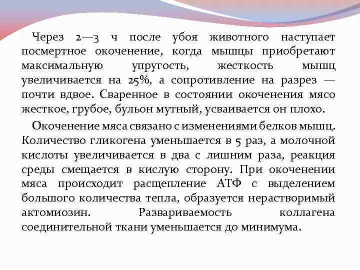 Через 2— 3 ч после убоя животного наступает посмертное окоченение, когда мышцы приобретают максимальную