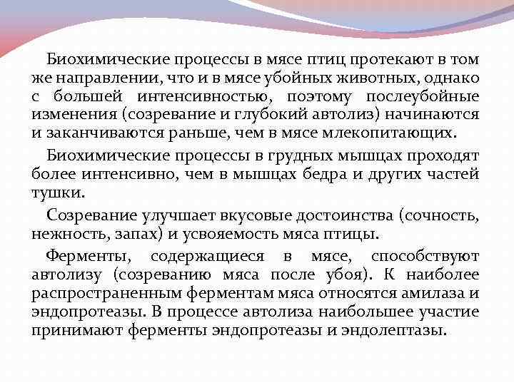 Биохимические процессы в мясе птиц протекают в том же направлении, что и в мясе