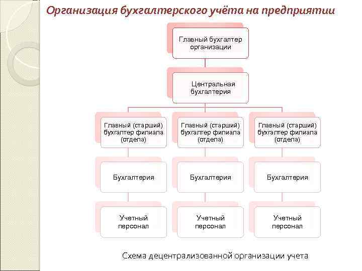 Организация бухгалтерского учёта на предприятии Главный бухгалтер организации Центральная бухгалтерия Главный (старший) бухгалтер филиала