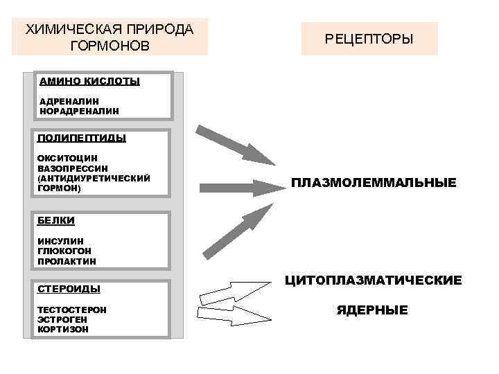 Окситоцин вазопрессин адреналин. Адреналин химическая природа гормона. Хим природа вазопрессина. Пролактин химическая природа. Укажите химическую природу рецепторов гормонов.
