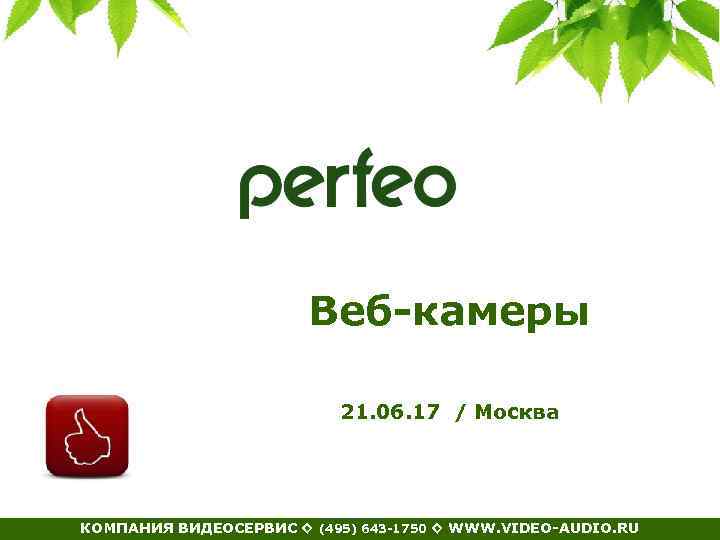 Веб-камеры 21. 06. 17 / Москва КОМПАНИЯ ВИДЕОСЕРВИС ◊ (495) 643 -1750 ◊ WWW.