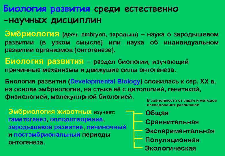 Индивидуальное развитие биология 9. Биология индивидуального развития. Предмет биологии индивидуального развития. Методы эволюции биология. Что такое развитие организма в биологии.