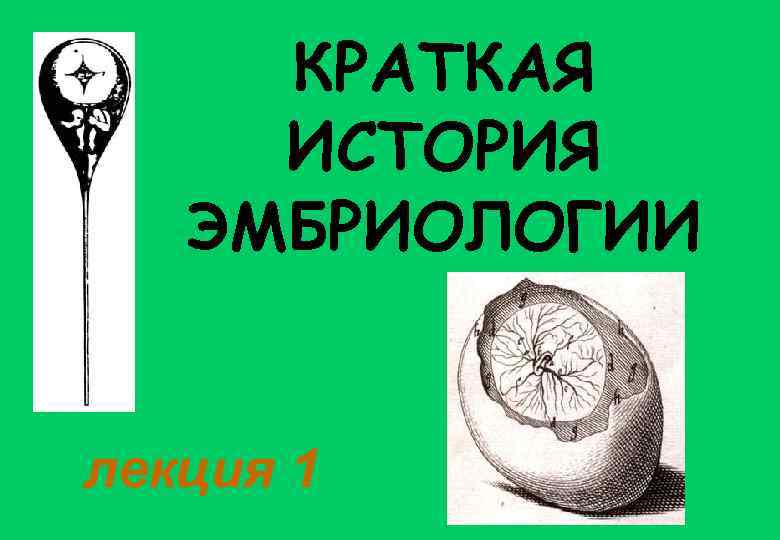 КРАТКАЯ ИСТОРИЯ ЭМБРИОЛОГИИ лекция 1 