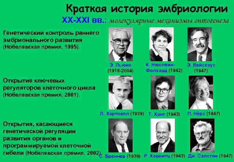 Краткая история эмбриологии XX-XXI вв. : молекулярные механизмы онтогенеза Генетический контроль раннего эмбрионального развития