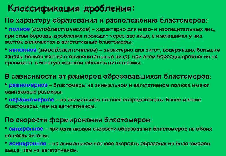 Классификация дробления: По характеру образования и расположению бластомеров: • полное (голобластическое) – характерно для