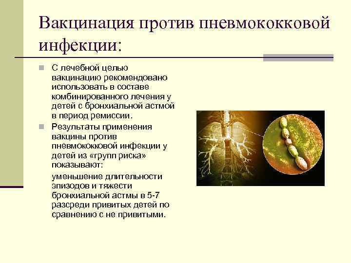 Вакцинация против пневмококковой инфекции: n С лечебной целью вакцинацию рекомендовано использовать в составе комбинированного