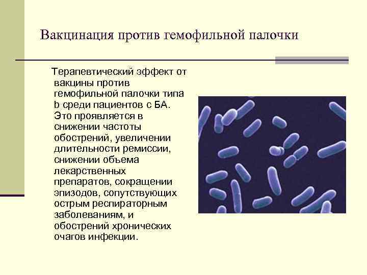 Вакцинация против гемофильной палочки Терапевтический эффект от вакцины против гемофильной палочки типа b среди