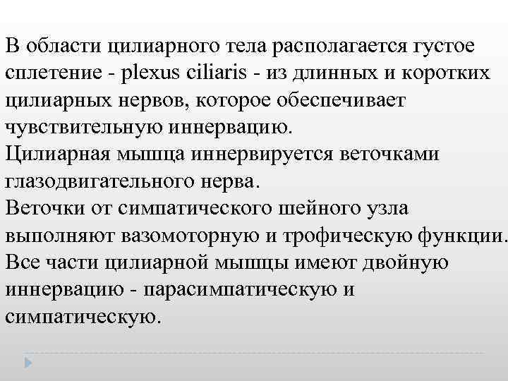 В области цилиарного тела располагается густое сплетение plexus ciliaris из длинных и коротких цилиарных