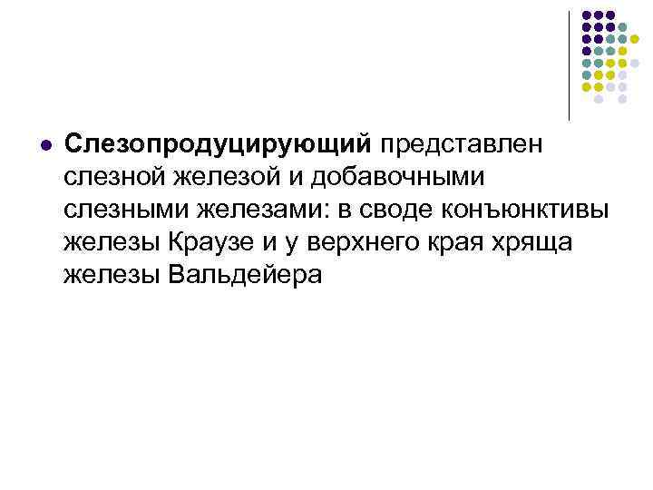 l Слезопродуцирующий представлен слезной железой и добавочными слезными железами: в своде конъюнктивы железы Краузе