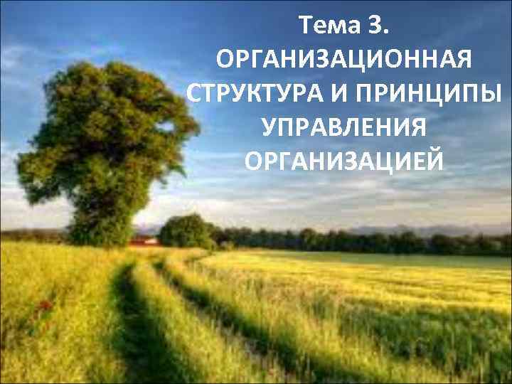 Тема 3. ОРГАНИЗАЦИОННАЯ СТРУКТУРА И ПРИНЦИПЫ УПРАВЛЕНИЯ ОРГАНИЗАЦИЕЙ 