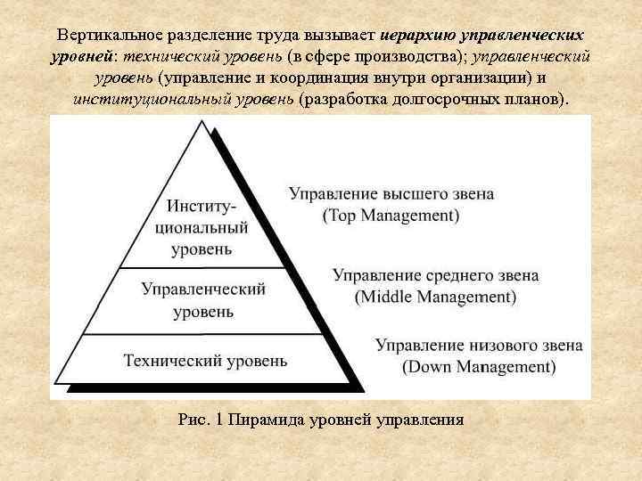 Вертикальное разделение труда вызывает иерархию управленческих уровней: технический уровень (в сфере производства); управленческий уровень