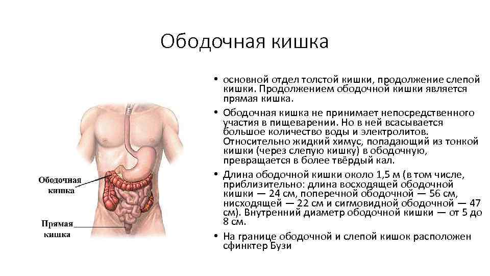 Боли в нисходящей ободочной кишки