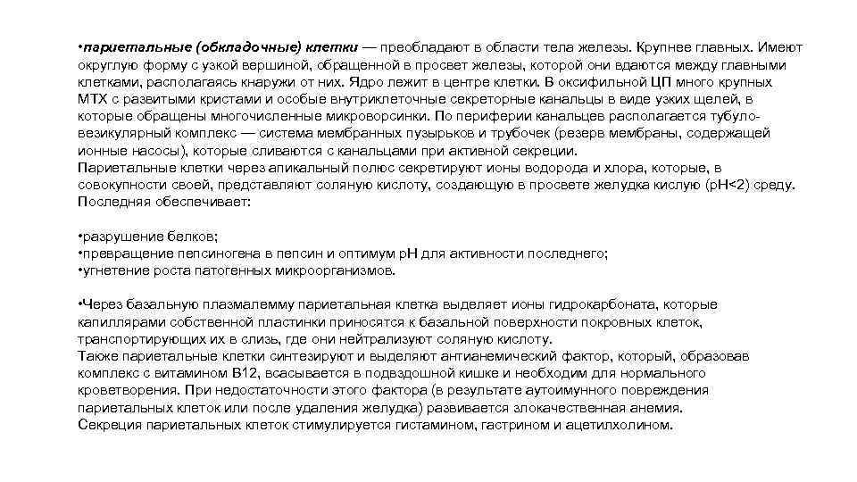  • париетальные (обкладочные) клетки — преобладают в области тела железы. Крупнее главных. Имеют