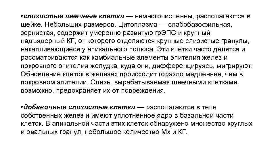  • слизистые шеечные клетки — немногочисленны, располагаются в шейке. Небольших размеров. Цитоплазма —