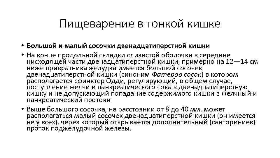 Пищеварение в тонкой кишке • Большой и малый сосочки двенадцатиперстной кишки • На конце