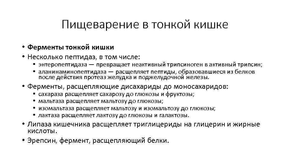 Ферменты тонкой кишки. Пищеварение в тонком кишечнике ферменты. Тонкий кишечник ферменты и функции. Пищеварительные ферменты тонкого кишечника. Работа пищеварительных ферментов