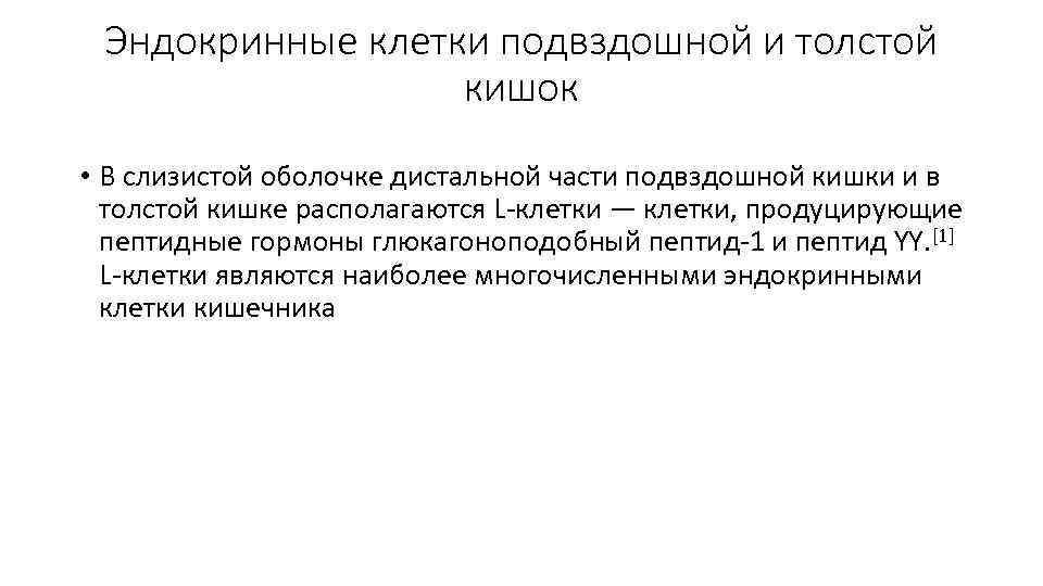 Эндокринные клетки подвздошной и толстой кишок • В слизистой оболочке дистальной части подвздошной кишки