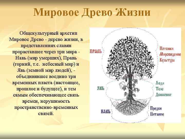 Мировое Древо Жизни Общекультурный архетип Мировое Древо - дерево жизни, в представлениях славян прораставшее