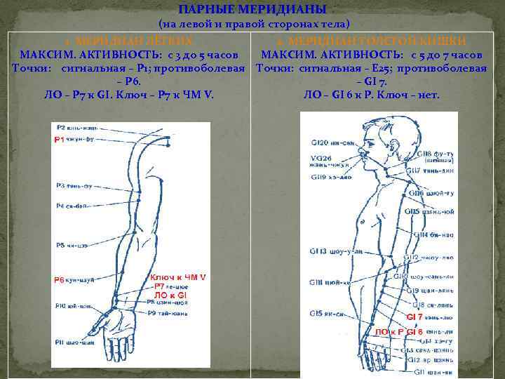 ПАРНЫЕ МЕРИДИАНЫ (на левой и правой сторонах тела) 1. МЕРИДИАН ЛЁГКИХ 2. МЕРИДИАН ТОЛСТОЙ