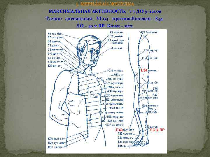 3. МЕРИДИАН ЖЕЛУДКА МАКСИМАЛЬНАЯ АКТИВНОСТЬ: с 7 ДО 9 часов Точки: сигнальная – VC