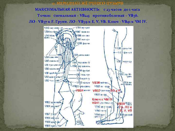 11. МЕРИДИАН ЖЁЛЧНОГО ПУЗЫРЯ МАКСИМАЛЬНАЯ АКТИВНОСТЬ: с 23 часов до 1 часа Точки: сигнальная