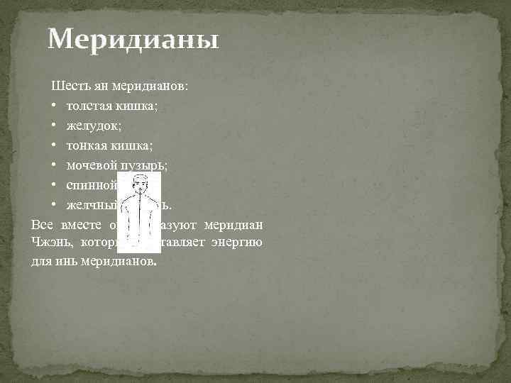 Меридианы Шесть ян меридианов: • толстая кишка; • желудок; • тонкая кишка; • мочевой