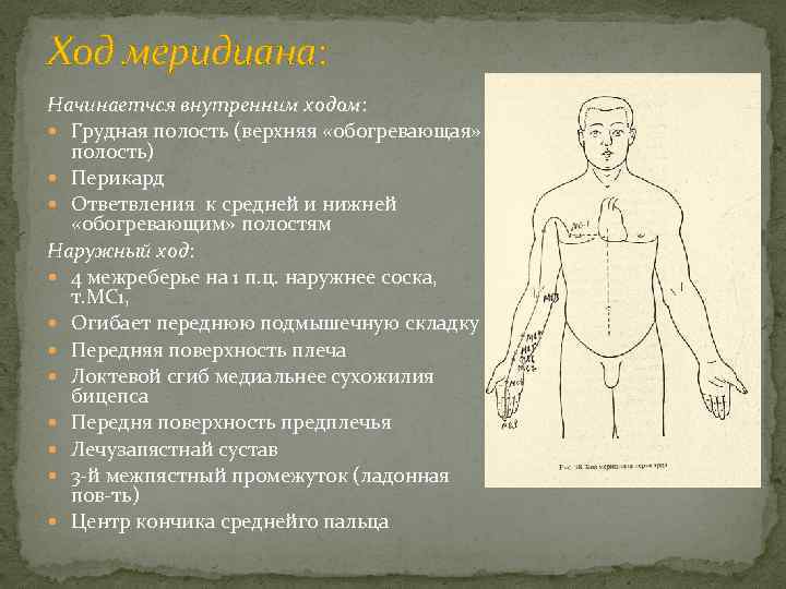 Ход меридиана: Начинаетчся внутренним ходом: Грудная полость (верхняя «обогревающая» полость) Перикард Ответвления к средней