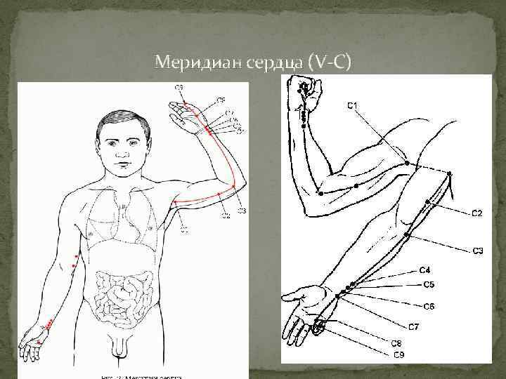 Меридиан сердца (V-C) 