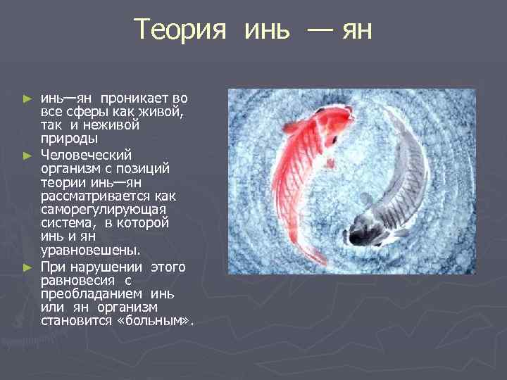 Теория инь — ян инь—ян проникает во все сферы как живой, так и неживой