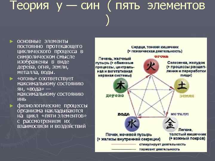 Теория у — син ( пять элементов ) основные элементы постоянно протекающего циклического процесса