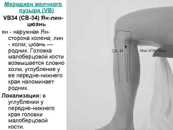 Меридиан желчного пузыря (VB) VB 34 (СВ-34) Ян-линцюань ян наружная Ян сторона колена; лин