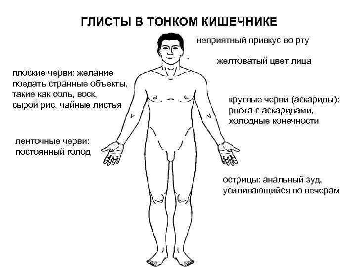 ГЛИСТЫ В ТОНКОМ КИШЕЧНИКЕ неприятный привкус во рту желтоватый цвет лица плоские черви: желание