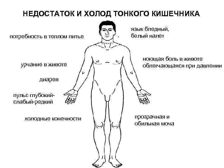 Сильное бурление в кишечнике без расстройства стула у взрослого