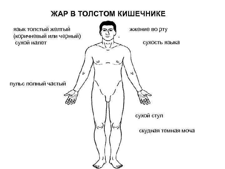ЖАР В ТОЛСТОМ КИШЕЧНИКЕ язык толстый желтый (коричневый или черный) сухой налет жжение во