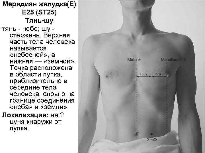 Меридиан желудка(E) Е 25 (SТ 25) Тянь-шу тянь небо; шу стержень. Верхняя часть тела