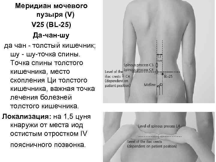 Меридиан мочевого пузыря (V) V 25 (ВL-25) Да-чан-шу да чан толстый кишечник; шу точка