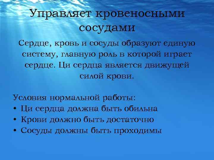Управляет кровеносными сосудами Сердце, кровь и сосуды образуют единую систему, главную роль в которой