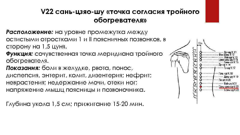 V 22 сань-цзяо-шу «точка согласия тройного обогревателя» Расположение: на уровне промежутка между остистыми отростками