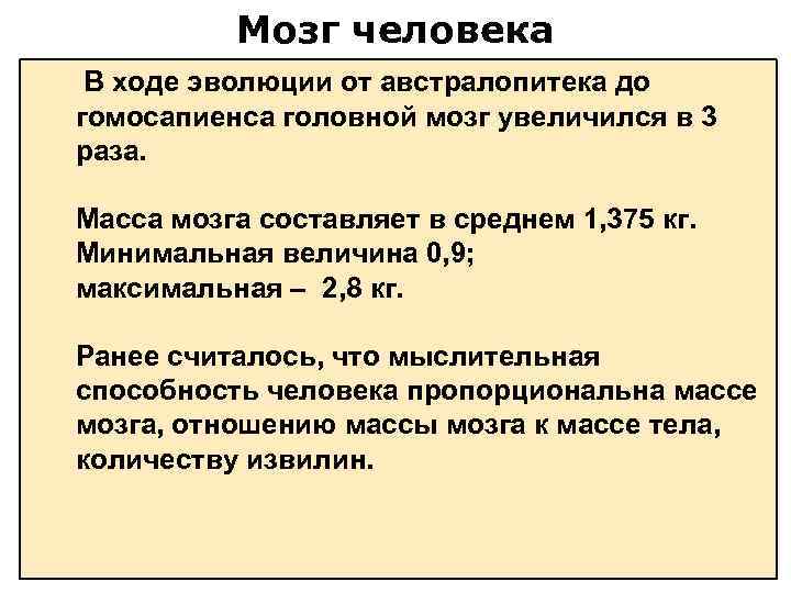 Масса мозга. Масса мозга составляет. Развитие мозга человека в ходе эволюции. Эволюция мозга масса. Масса мозга австралопитека.