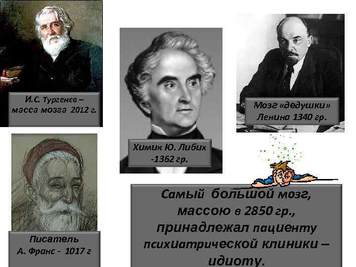 Сколько весил мозг. Мозг известных людей. Тургенев масса мозга. Тургенев мозг вес. Масса мозга выдающихся людей.