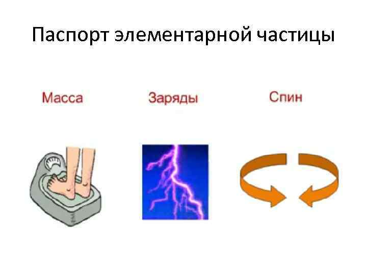 Паспорт элементарной частицы 