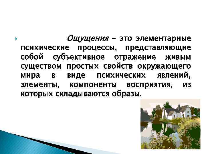  Ощущения – это элементарные психические процессы, представляющие собой субъективное отражение живым существом простых