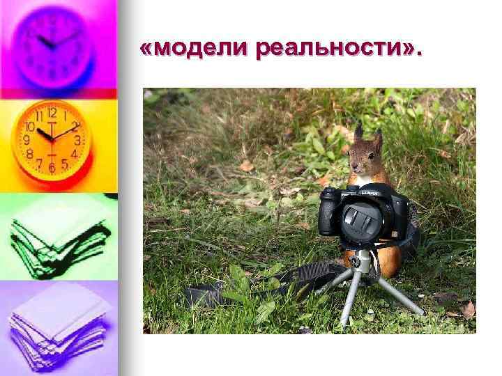  «модели реальности» . 