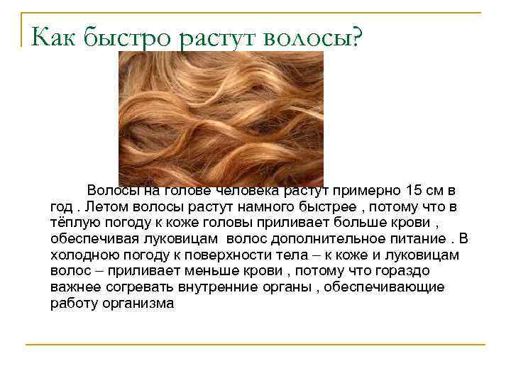 Как быстро растут волосы? Волосы на голове человека растут примерно 15 см в год.