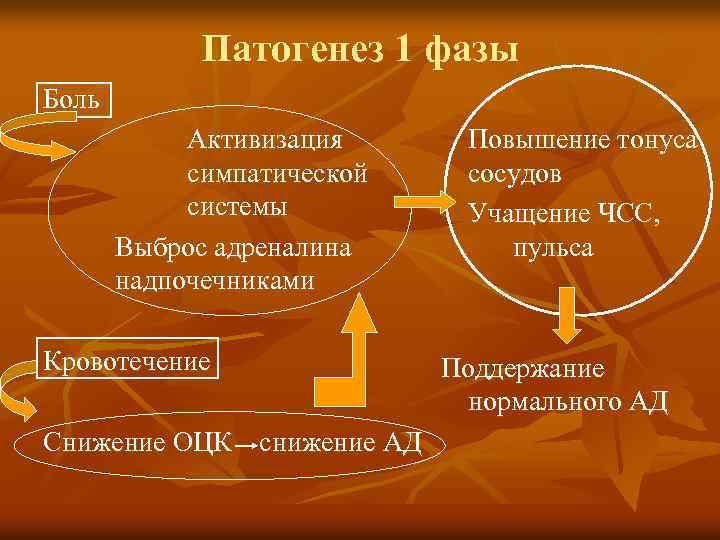 Патогенез 1 фазы Боль Активизация симпатической системы Выброс адреналина надпочечниками Кровотечение Снижение ОЦК снижение