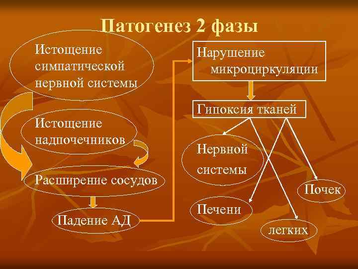 Патогенез 2 фазы Истощение симпатической нервной системы Истощение надпочечников Расширение сосудов Падение АД Нарушение